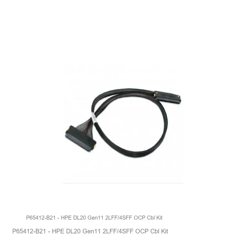 HPE DL20 Gen11 2LFF/4SFF OCP Cbl Kit