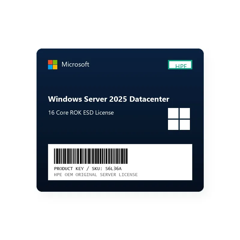 MS WS25 16C DC ROK WW ESD LTU